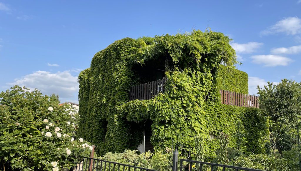 zelená fasáda na českém domě
